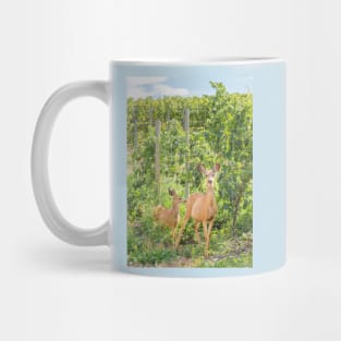 Doe and Fawn Standing in Summer Vineyard Mug